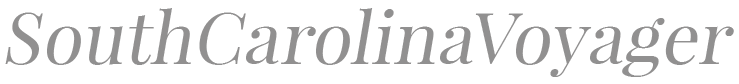 South Carolina Voyager logo